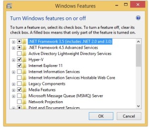 Windows_Features_Window